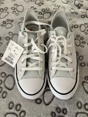 Converse Chuck Taylor All Star Crush Heel Sneakers - mint green